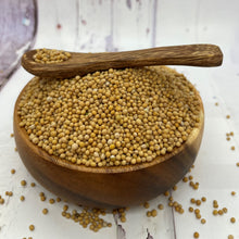 Load image into Gallery viewer, Yellow Mustard Seed